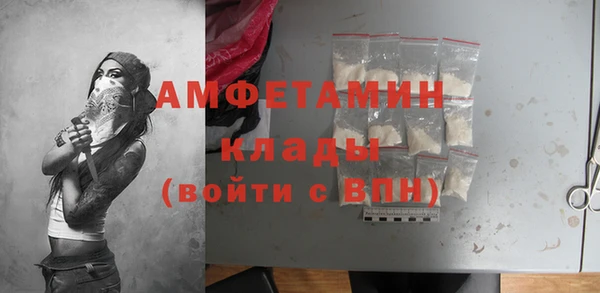 ГАЛЛЮЦИНОГЕННЫЕ ГРИБЫ Аркадак