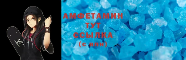 ГАЛЛЮЦИНОГЕННЫЕ ГРИБЫ Аркадак