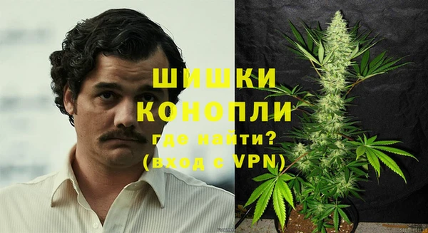 ГАЛЛЮЦИНОГЕННЫЕ ГРИБЫ Аркадак