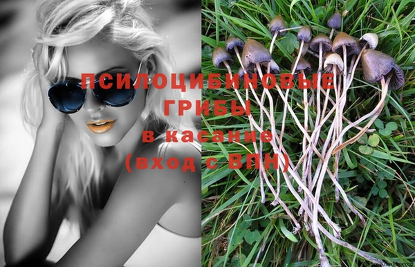 ГАЛЛЮЦИНОГЕННЫЕ ГРИБЫ Аркадак
