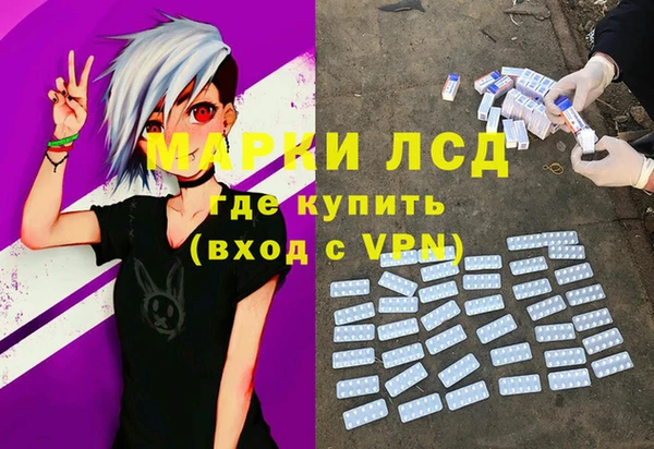 ГАЛЛЮЦИНОГЕННЫЕ ГРИБЫ Аркадак