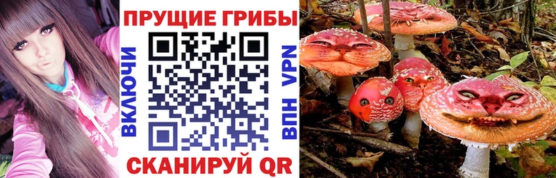 купить  цена  Новочеркасск  Галлюциногенные грибы MAGIC MUSHROOMS 